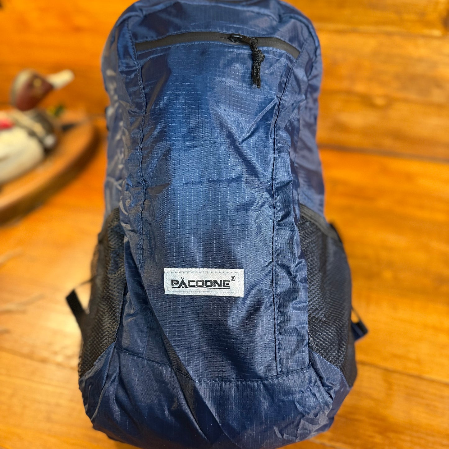 Lightweight Portable Packable Backpack