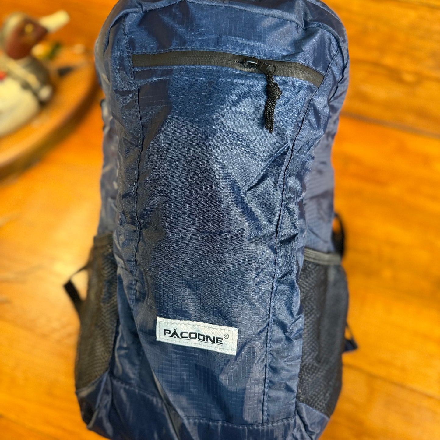 Lightweight Portable Packable Backpack