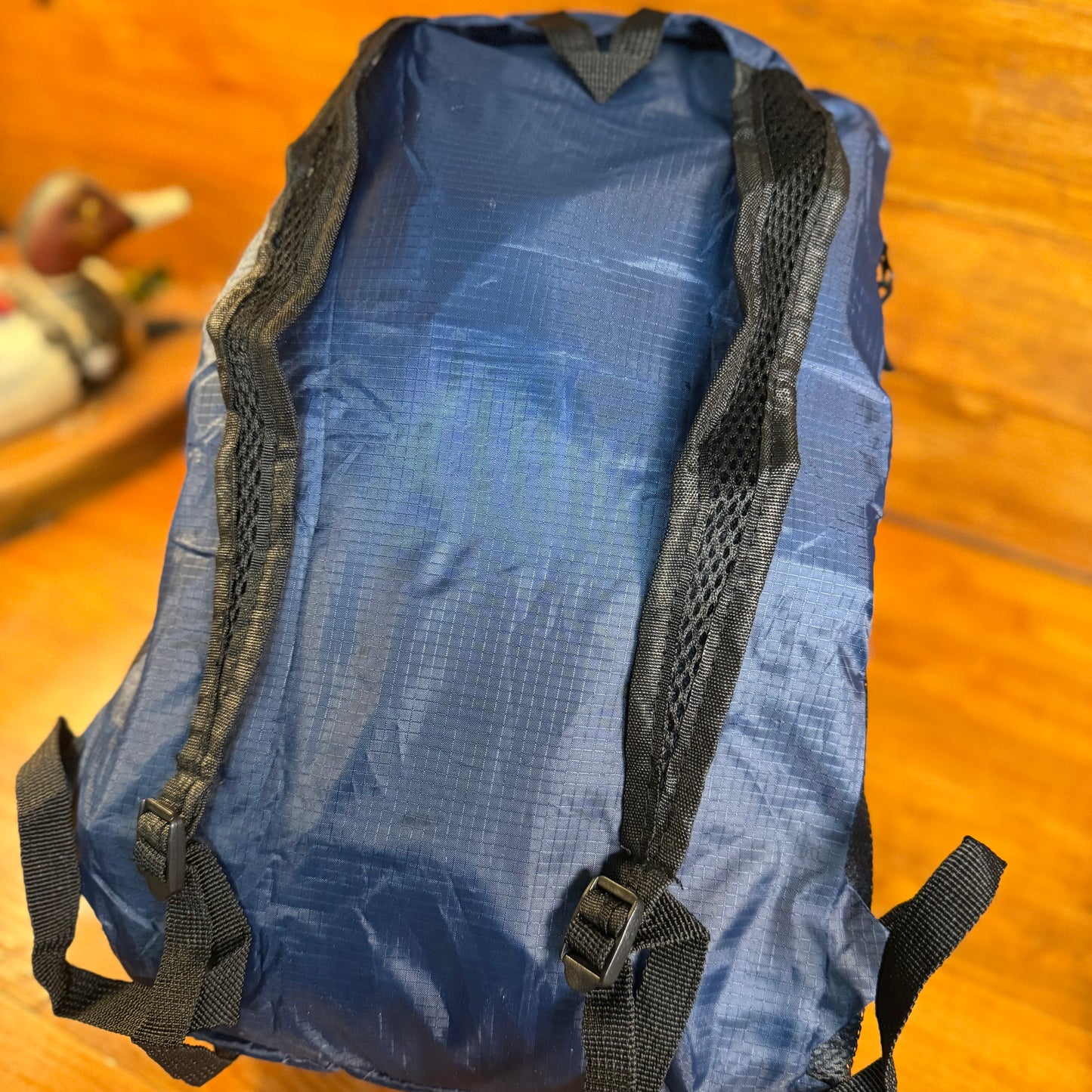 Lightweight Portable Packable Backpack